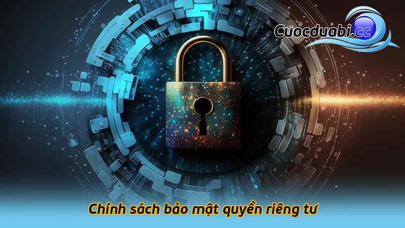 Chính sách bảo mật quyền riêng tư