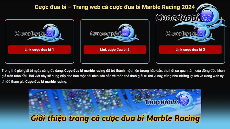 Giới thiệu trang cá cược đua bi Marble Racing