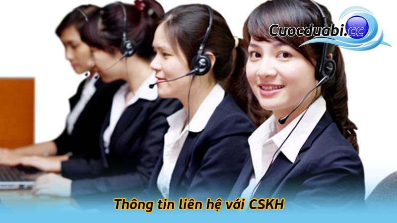 Thông tin liên hệ với CSKH của chúng tôi